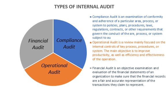 Types of internal audit